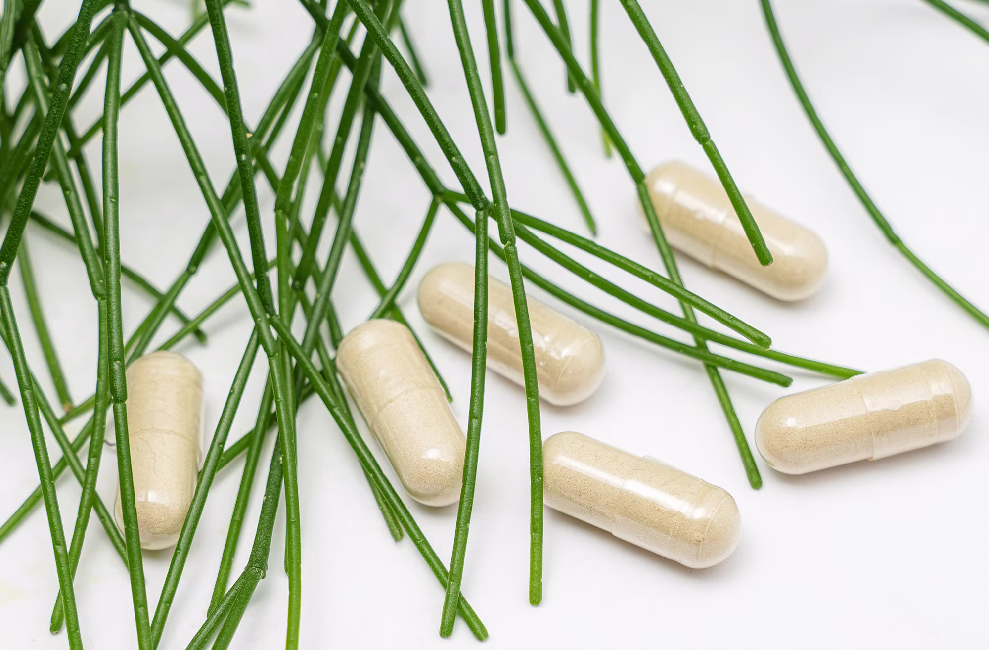 The Role of Technology in Modern Healthcare: Innovations Shaping the Future